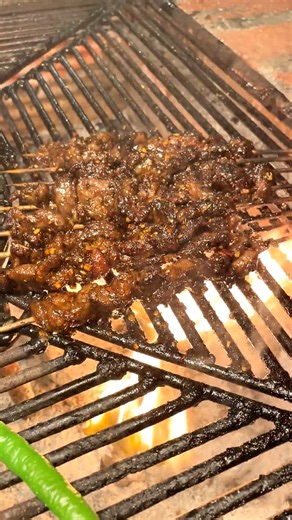 69K views · 2.5K reactions | Welcome the Spring Festival Today roasted duck and pork | About Cooking Tv | Facebook