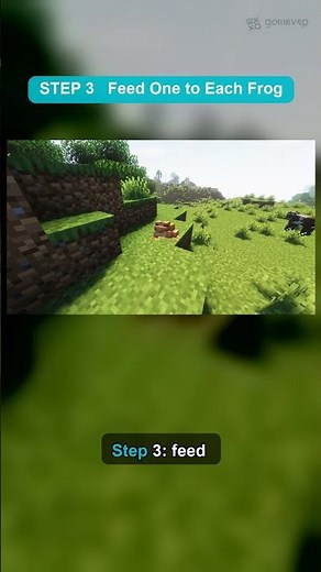 How to Breed Frogs in Minecraft #shorts