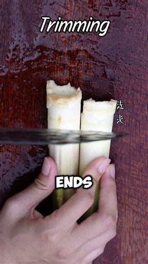 You Might Think This Bamboo Taste Like Shit But… 🤯