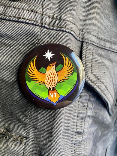 Vermont Rebel Thrush 2" Pin Button: Hermit Thrush Resistance Bird for VT, State Bird Rebel Alliance Emblem, Hand-drawn Design - Etsy