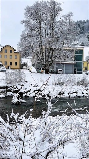 Swiss Winter by the River🇨🇭❄️🌲