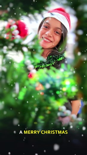 Merry Christmas Celebration