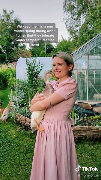 Runner Duck Care: A Guide to Keeping Ducks Happy and Healthy