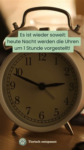 Zeitumstellung heute: Uhr vorstellen! #shorts