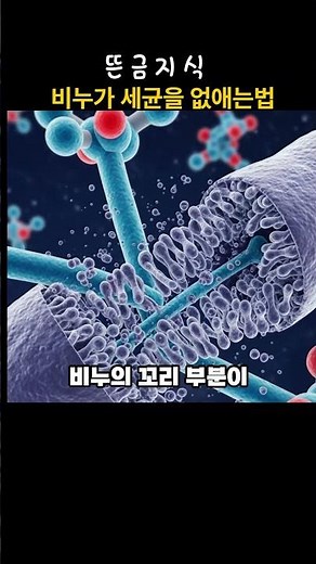 비누가 세균을 없애는법