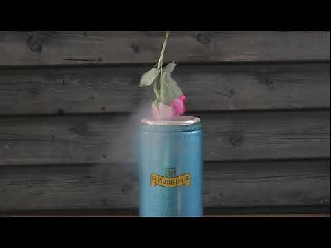 Experimente mit flüssigem Stickstoff