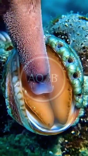 Effective Solutions for Hair Problems: Tips & Tutorial