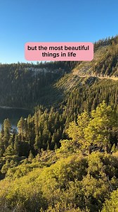 8.2K views · 180 reactions | they're DOGS 藍  #rescuedogs #shelterdogs #muttnation | Miranda Lambert's MuttNation | Facebook