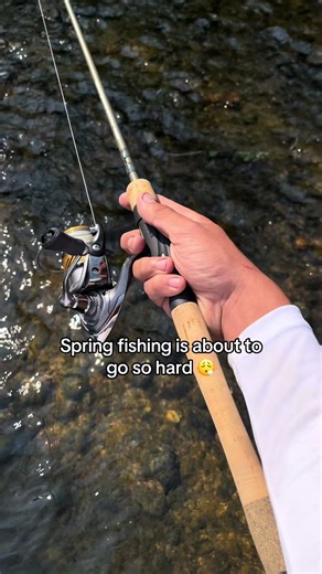 Exciting Spring Fishing Adventures Await You