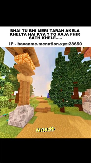 HAVAN SMP #minecraft #edit