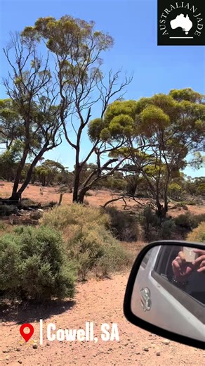 Learn more about Australian Jade! ✨ This video introduces our jade mine and the early stages of our process. At this stage, raw jade is analyzed on site, samples are taken for laboratory testing, and preparations for the new cutting area begin. These early insights guide the entire process. Follow for more! #australianjade #nephritejade #jademine #cowell #rawjade