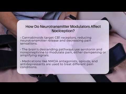 How Do Neurotransmitter Modulators Affect Nociception? - Pain Medicine Network