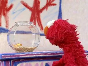 Sesame street Play All Day With Elmo