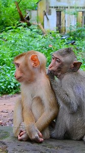 Ooh feeling really miss adorable Dawn, welcome back little sweetie sister Dawn! | Good Or Bad