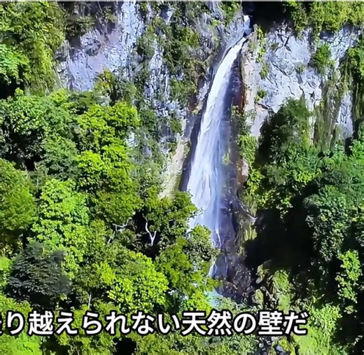 #野生動物 #自然観察 #動物ドキュメンタリー #野生の瞬間