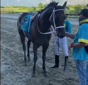 7ma Carrera Clásico Camarero 🏆 #9 Fundador Propiedad del Torres Pagan, primera victoria clásica para el entrenador G. Merced y llevado a la victoria por el destacado jinete Edwin Castro. Tiempo final para la distancia de 1,200 metros fue de 1:12.70. #CamareroPR 🏇🏻 | Hipódromo Camarero