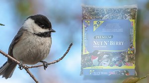 32K views · 323 reactions | Did you know? The more dee notes in a chickadee-dee-dee call, the higher the threat level they perceive. Keep your eyes - and ears - open for these adorable birds when you’re outdoors. www.3dpetproducts.com/products/nut-n-berry/ #3dpetproducts #welcomewildbirds | 3-D Pet Products | Facebook