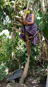 408K views · 1.5K reactions | Sumabit | Maricel Parot | Facebook