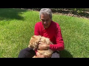 Thank god my dog doesn’t talk back to me! | www.bobbycollins.com