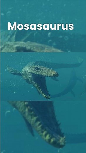Mosasaurus