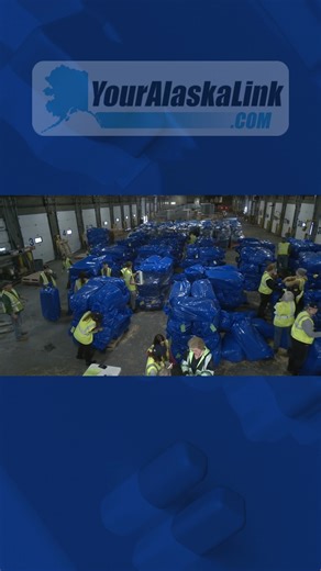 Anchorage volunteers pack almost 900 straw bales for the Iditarod, ensuring mushers’ dogs have fresh bedding at checkpoints along the nearly 1,000-mile trail. First-time helpers and seasoned volunteers share their excitement. | Your Alaska Link TV