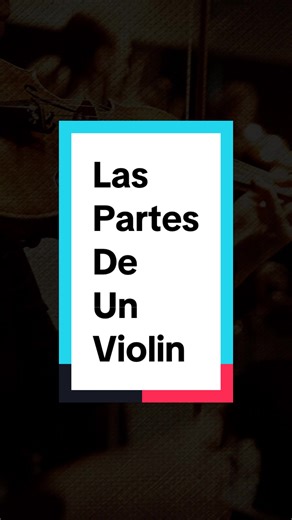 ¿Conoces las partes de un violin? #violin #instrumentosmusicales #conocimientos #fypシ゚viral #violines #musicas