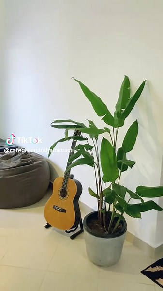 Dark room #dining #foodies #coffeeshop #morningvibe #cafegreenandminimart #colombovibe #trendingcafe #shisha #partyvibes #BYOB