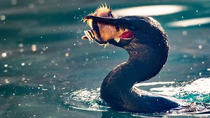 11 Ways To Improve the Sharpness of Your Images, Part 6: Dust and Condensation