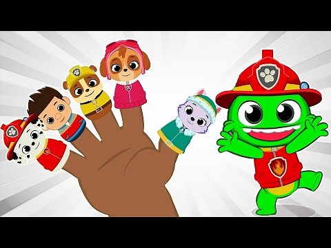 Finger Family PAW PATROL! | Sing Along with Groovy & Friends | Fun Kids’ Songs Compilation