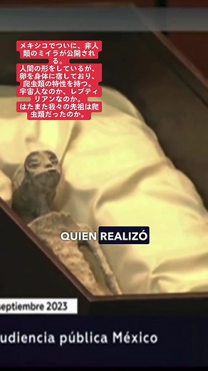メキシコの非人類ミイラ公開！宇宙人かレプティリアンか？