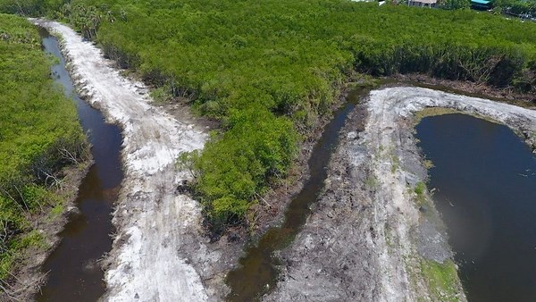 Drone shows where state officials are investigating reported illegal mangrove removal