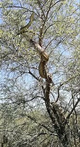 250K views · 1.9K reactions | Python on a picnic. | John Ndadala Walenga | Facebook