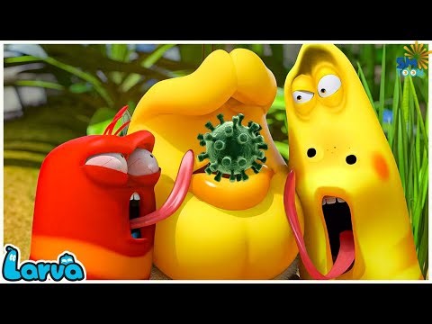 BACTERIA - Cartoons | Comics | Larva Cartoon | Mini cartoon Movie | LARVA Official