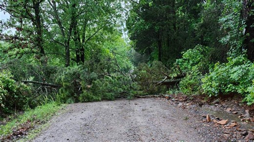 Pictures: Damage in Arkansas from Tuesday morning's storms