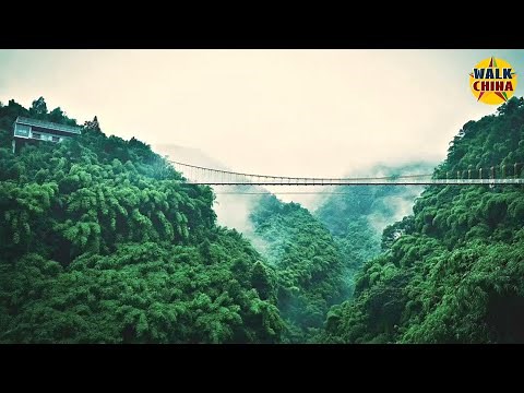 Walk China Beautiful Bamboo Forest Wonderland - China Travel | Sichuan
