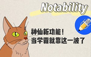 Notability神仙新功能｜当学霸就靠这一波了！哪里不会点哪里，语言学习so easy～