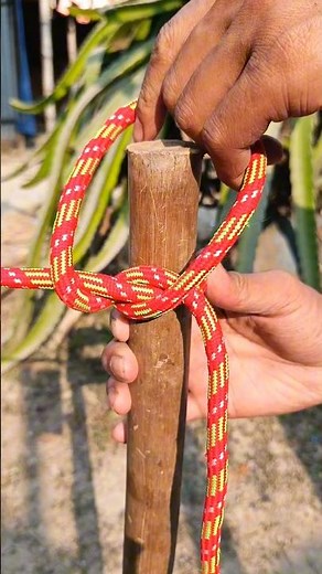 Best Knot in the World!!!