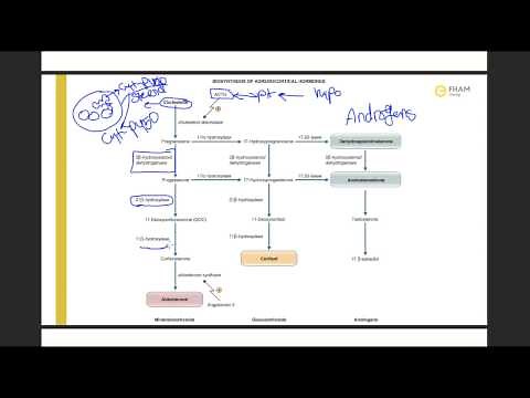 Biosynthesis of adrenocortical hormones