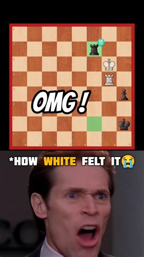 ROOK BRILLIANCY 💎🔥 #chess #brilliantmove