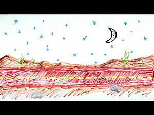 What is Thermal Inertia?