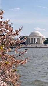 Jefferson Memorial in Washington D.C.