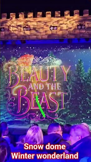 Santa's winter wonderland, snow dome Tamworth #familyfun #christmas #snow #snowdome #fyp #travel