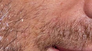 15 Canadian actors often mistaken for American