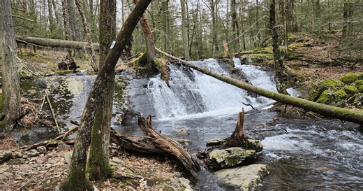The Biggest Surprise I Came Across While Hiking This Incredible Trail in New Jersey