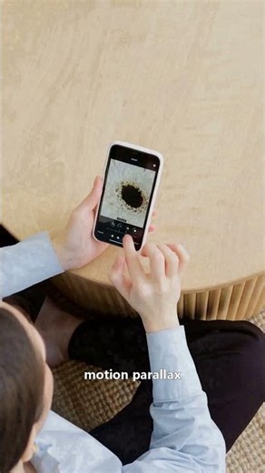 How Your Phone Fakes DSLR Portrait Mode With Just One Lens #Tech #AI