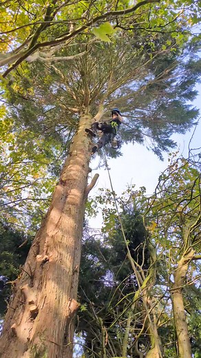 1.7K views · 13 reactions | When the DJ plays a banger we have a sing along  | The Land Doctor | Facebook