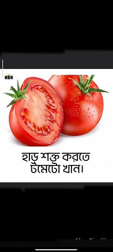 Exploring the Best Fruits: A Visual Showcase