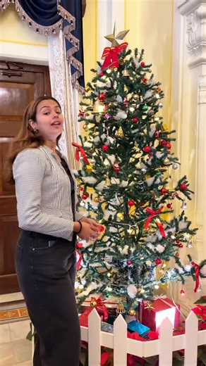 This Christmas, celebrate in royal style.🎄✨ Step into the timeless charm of Umed Bhawan Palace, Kota @umedbhawankotah , beautifully adorned with Christmas décor, music, and festive cheer. Indulge in a special Christmas menu, and don’t miss the signature Christmas rum cakes. On 24th & 25th December, experience a one-of-a-kind Christmas Flea Market inside the iconic Darbar Hall. Discover handcrafted jewellery, made-in-Kota creations, clothing, homemade snacks, and ayurvedic beauty products. Live 