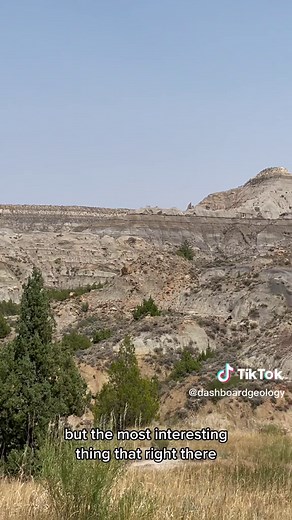 Crossed something off my geology bucket list in 2021 - I saw the KT boundary. What is it and how do we know what it means? Find out!