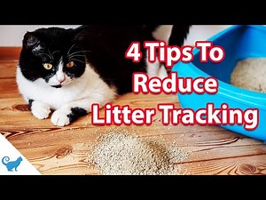 How to stop cat litter tracking? | Cat Behavior 101